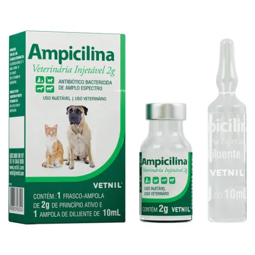 Ampicilina Injetável 2 g